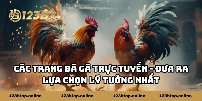 Các Trang Đá Gà Trực Tuyến - Đưa Ra Lựa Chọn Lý Tưởng Nhất