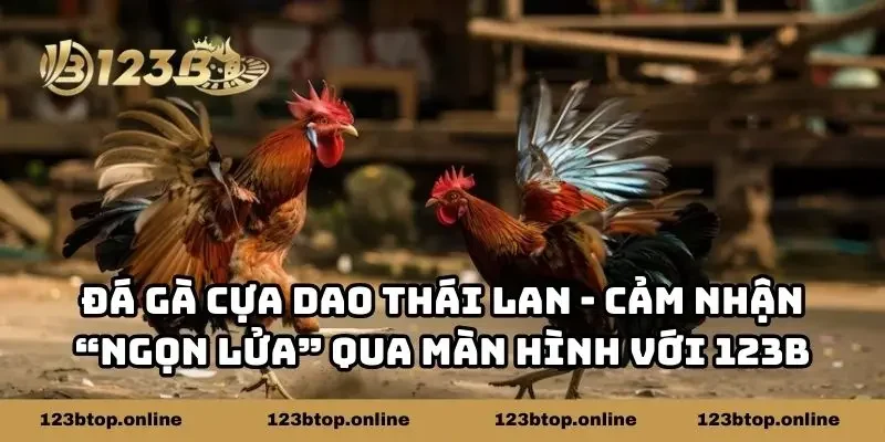 Đá Gà Cựa Dao Thái Lan - Cảm Nhận “Ngọn Lửa” Qua Màn Hình